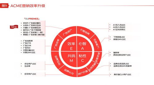 京东 flywheel飞未联合发布 2024年京东品牌广告营销策略报告